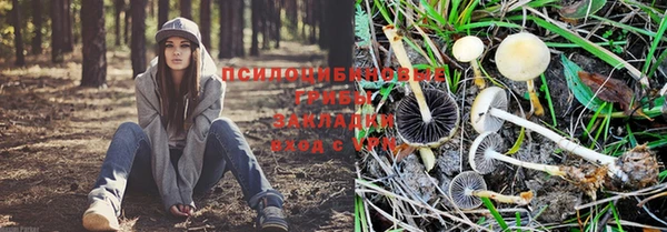 марихуана Алзамай