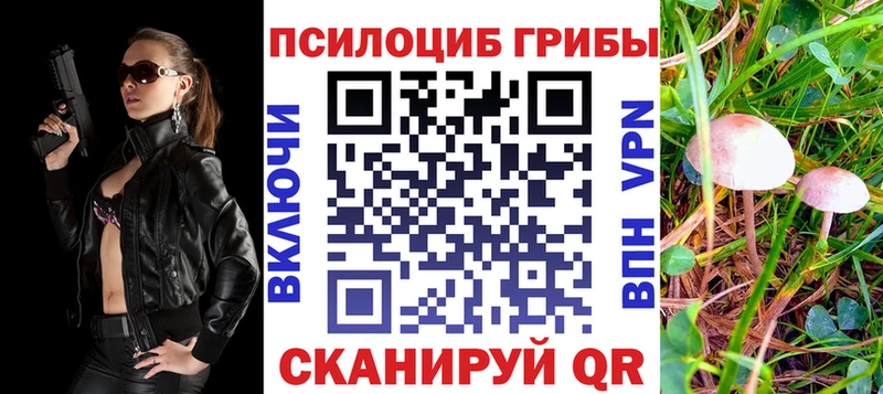 Галлюциногенные грибы мухоморы  сколько стоит  Перевоз 